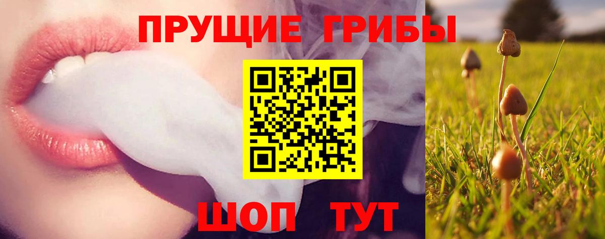 Галлюциногенные грибы ЛСД Воркута